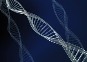 五原縣音響燈光有限責任公司